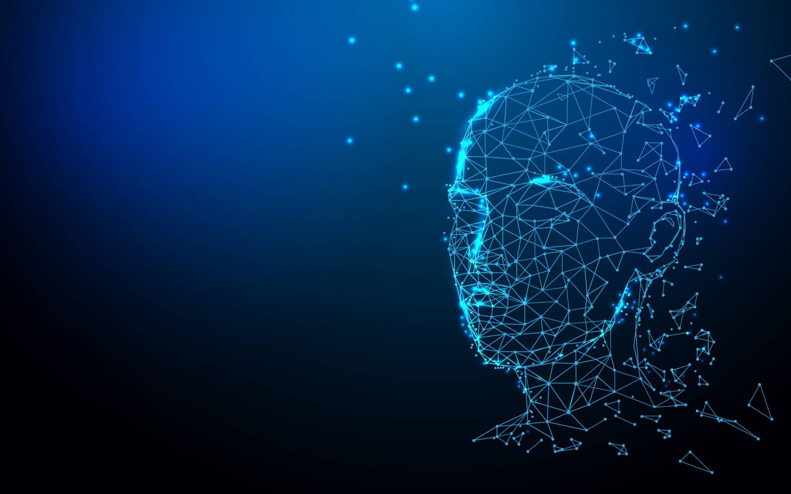 Unveiling the Shadows: Navigating Bias in Emotion Recognition Algorithms