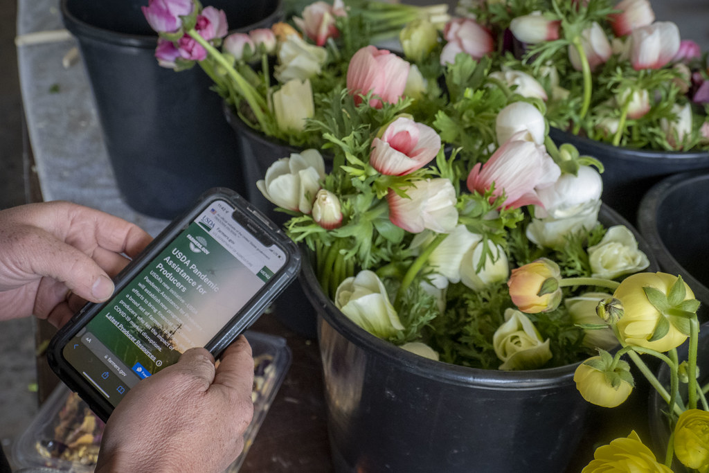 How to Factory Reset and Securely Wipe Old Phones and Laptops